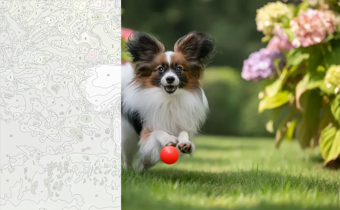 بوم رنگ آمیزی شماره دار سفارشی کیت و رنگ