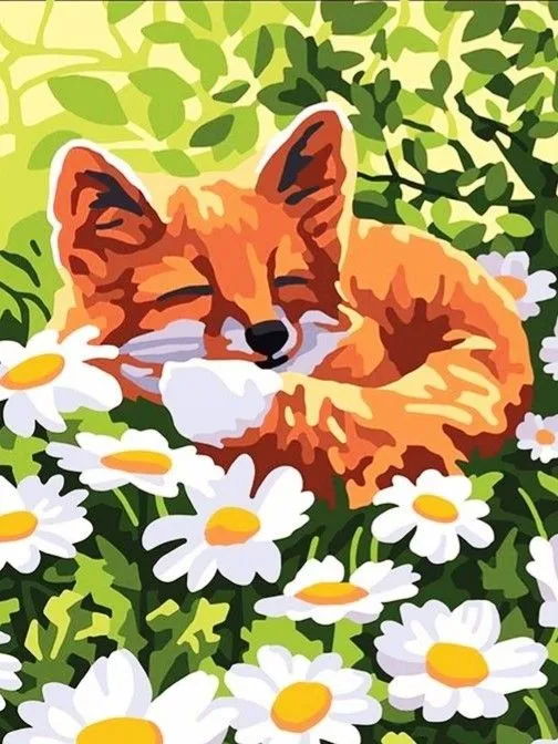 کیت نقاشی خواب روباه